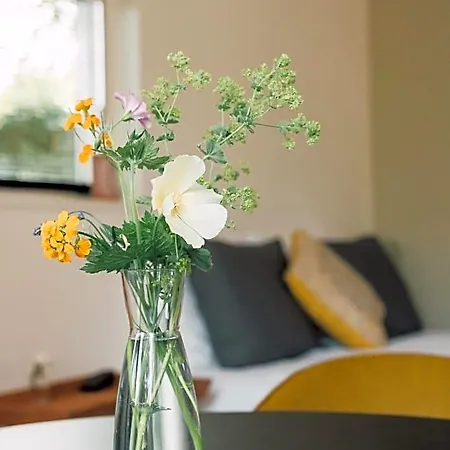 Ubi-iter? History, Heritage And Hospitality Bed and Breakfast Doesburg